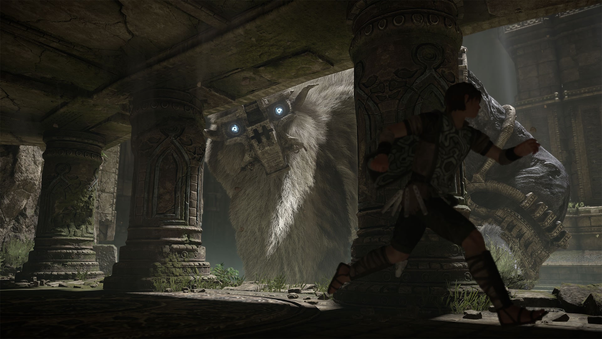 Shadow of the Colossus Remake Devs Tease PS5 Game