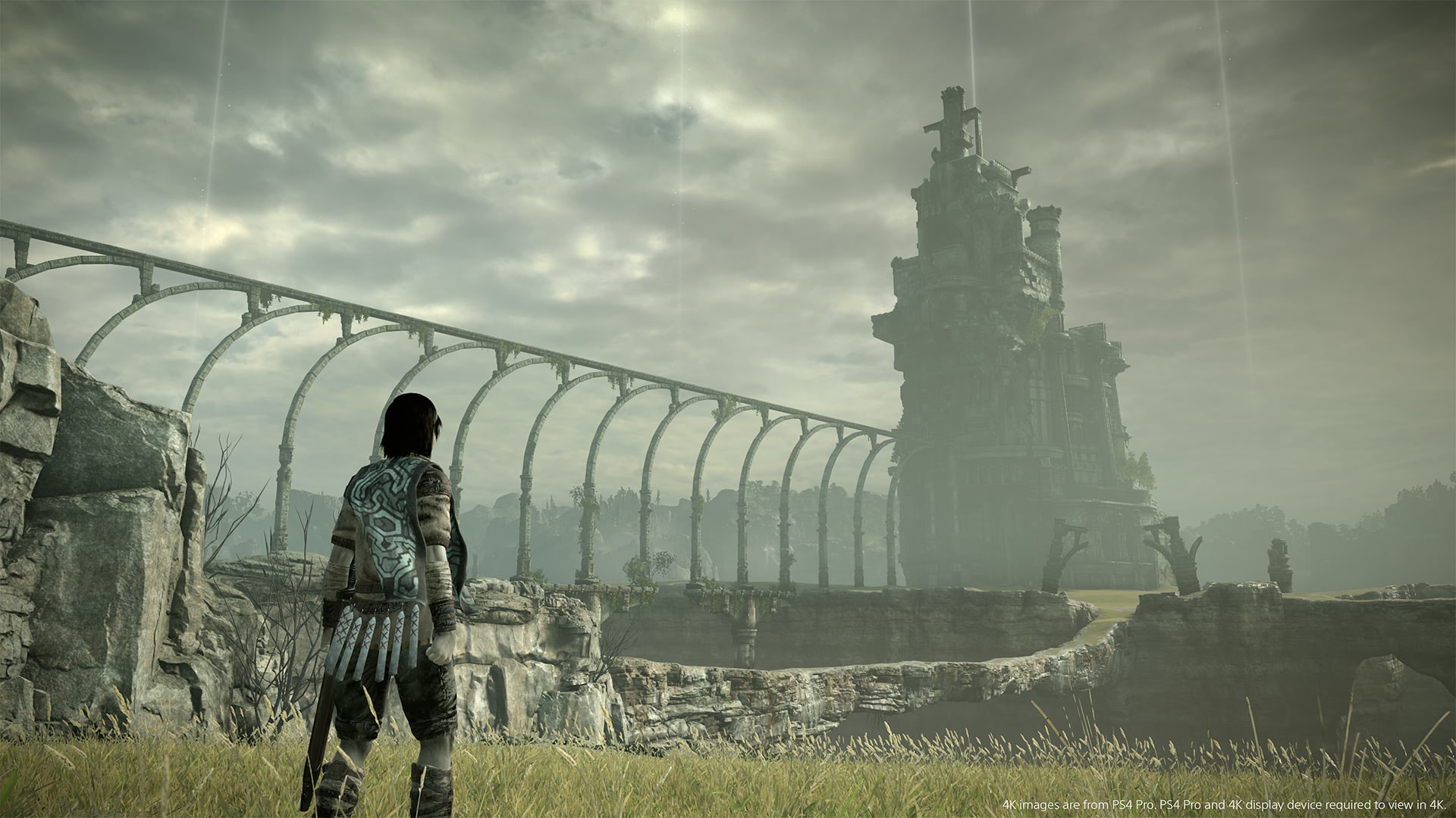 Shadow of the Colossus (PS4)