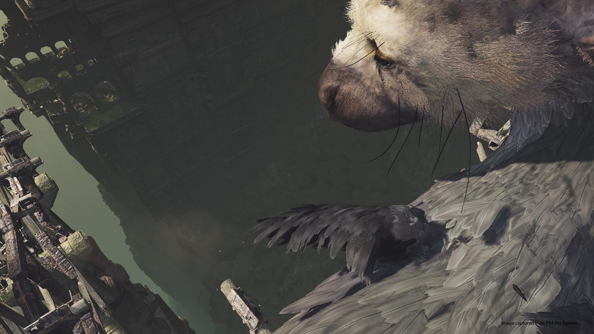 The Last Guardian VR demo out next week