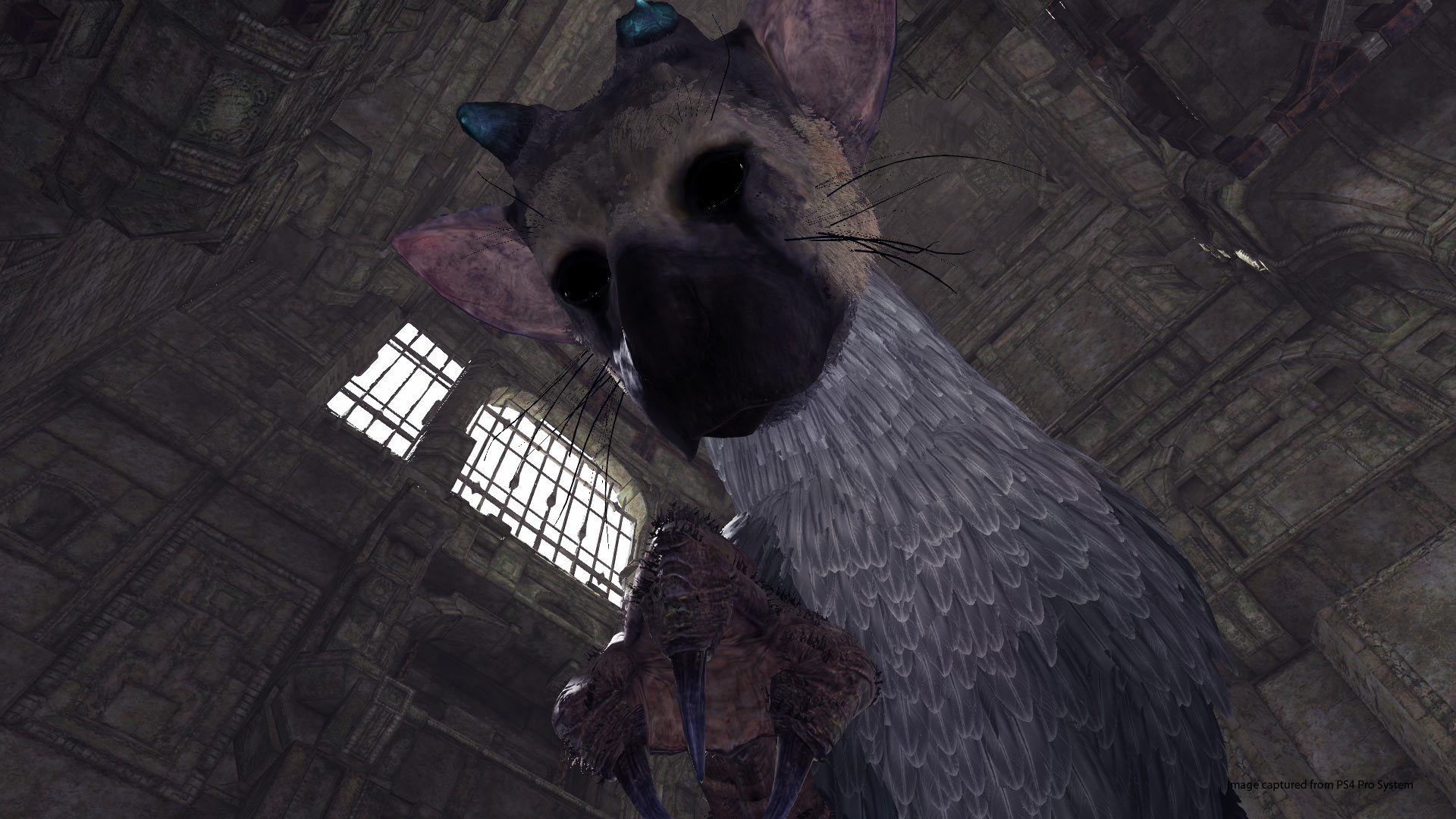 The Last Guardian preview