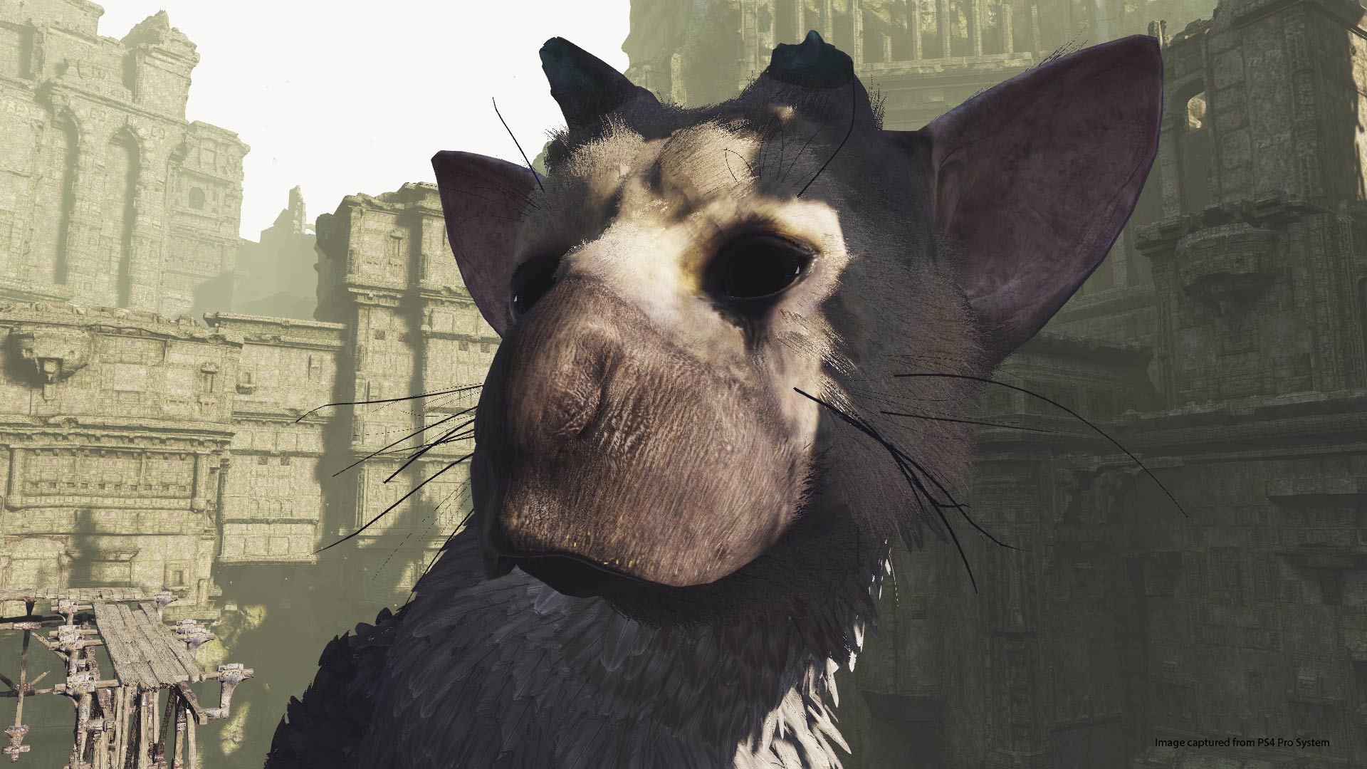 The Last Guardian's VR demo is a perfect showcase for the medium - The Verge