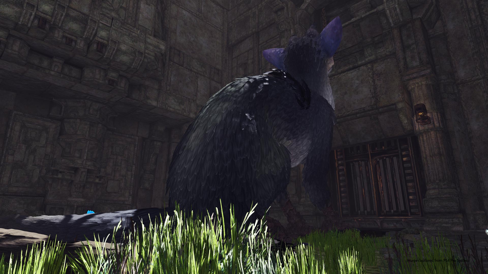 The Last Guardian's VR demo is a perfect showcase for the medium - The Verge