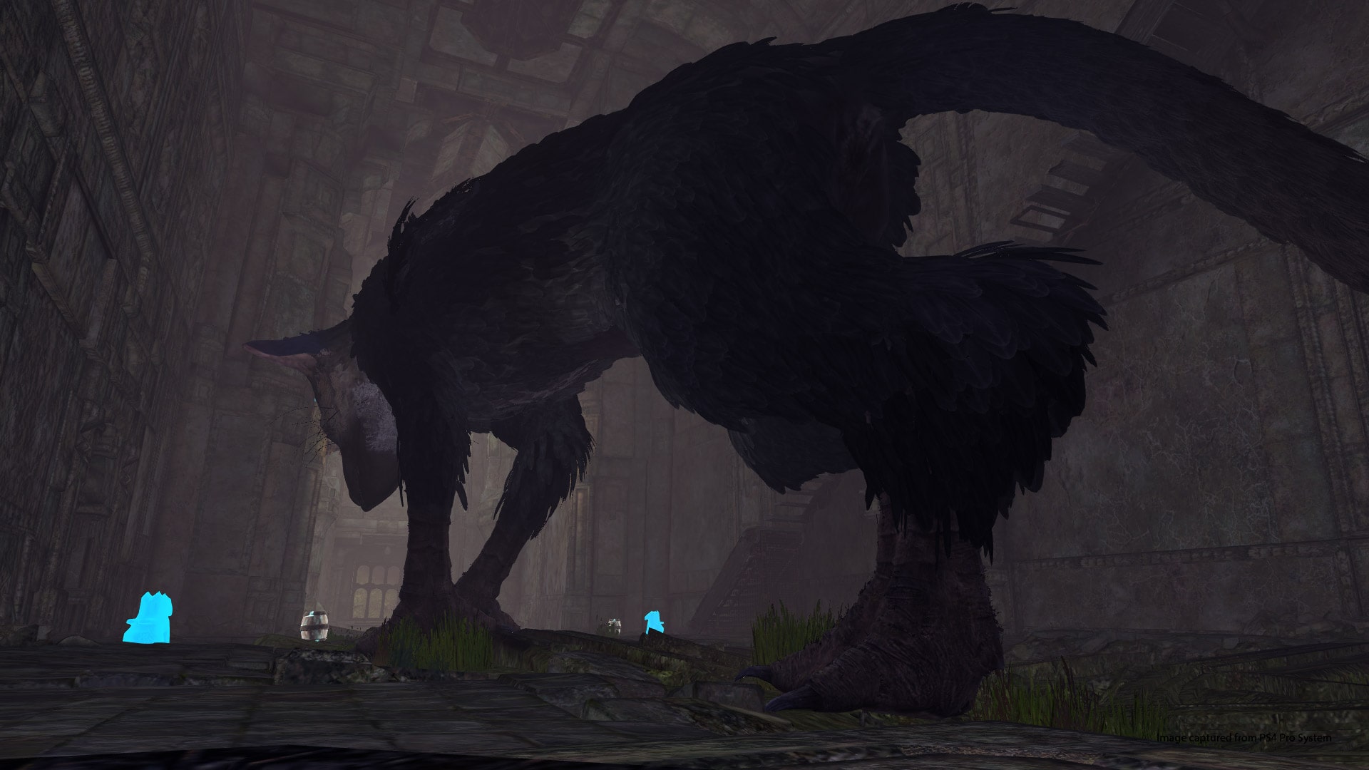 The Last Guardian's VR demo is a perfect showcase for the medium - The Verge