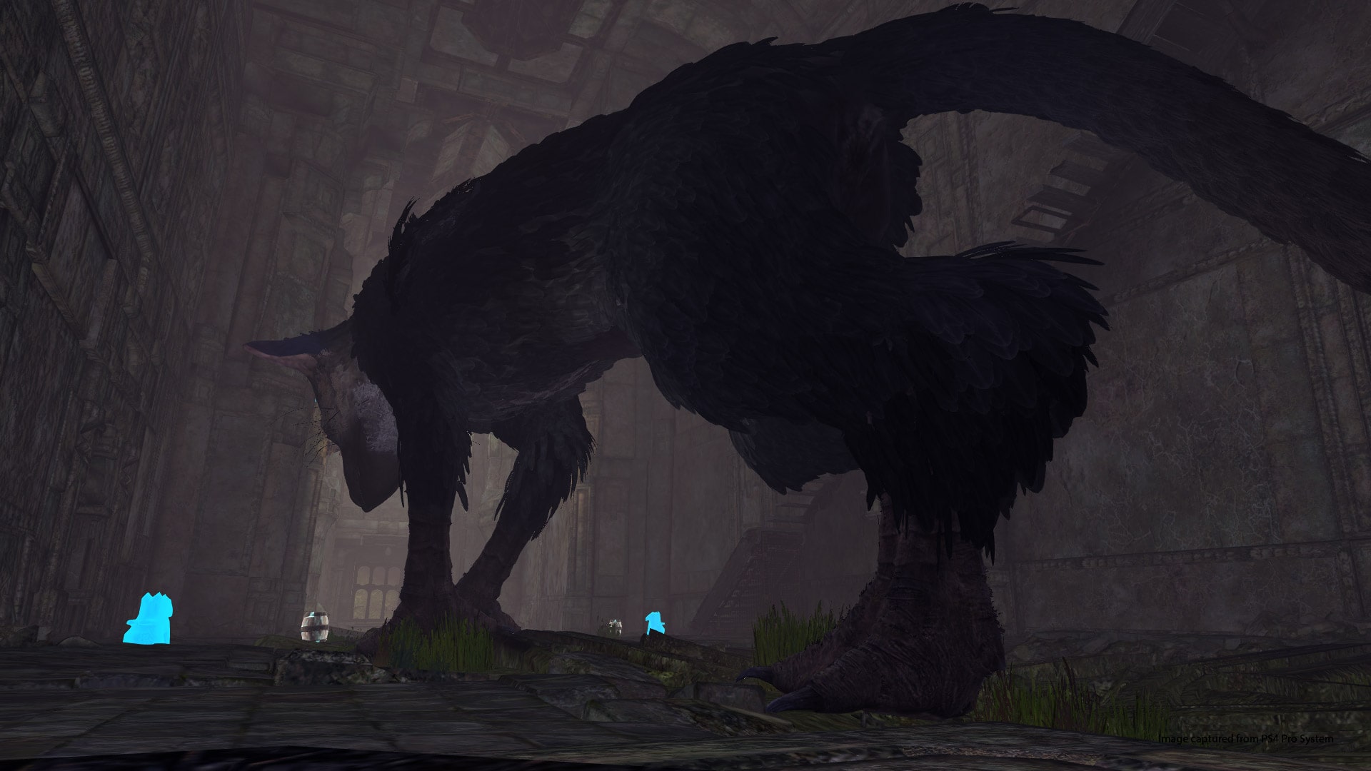 The Last Guardian VR Demo Box Shot for PlayStation 4 - GameFAQs