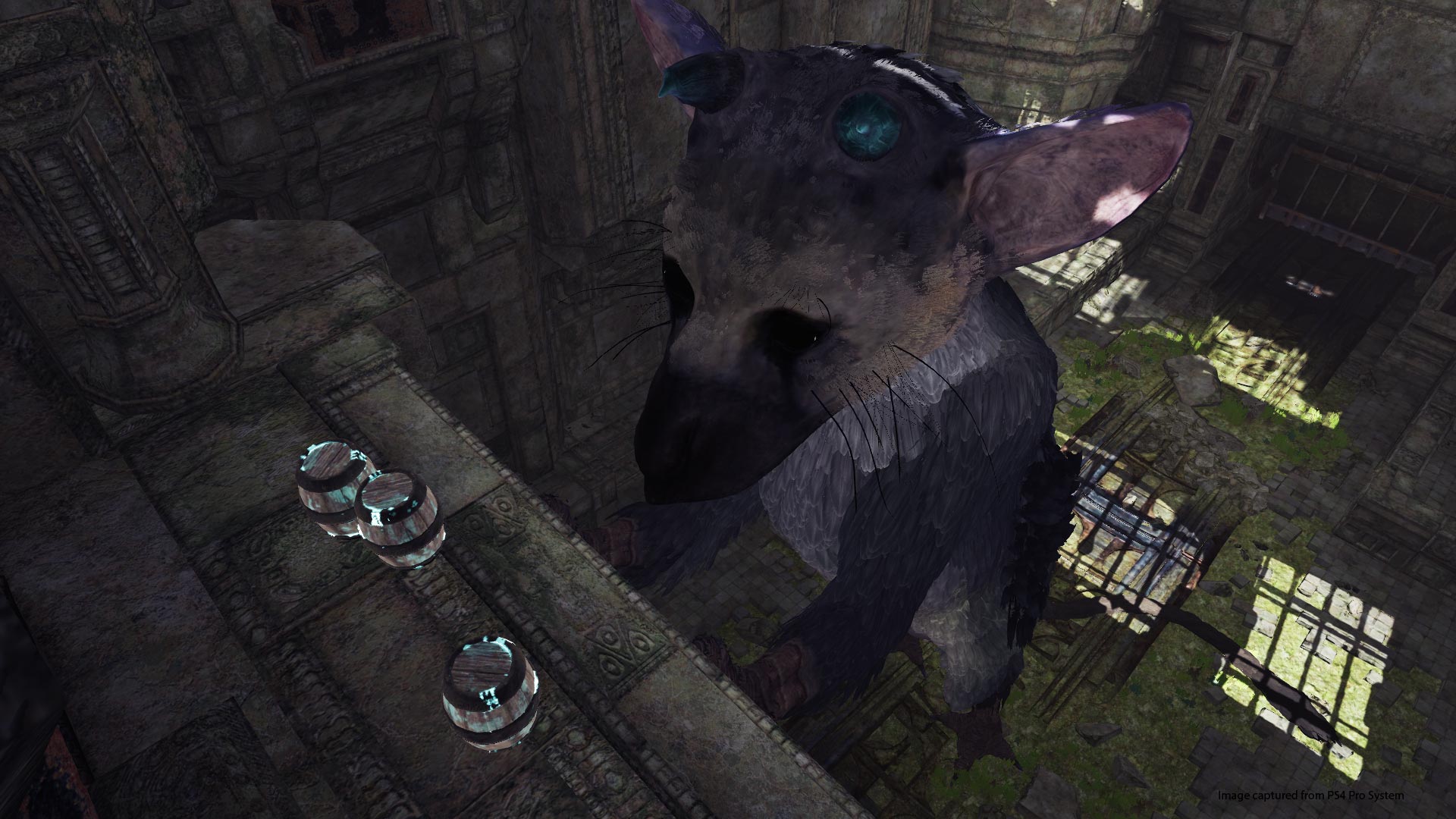 The Last Guardian preview