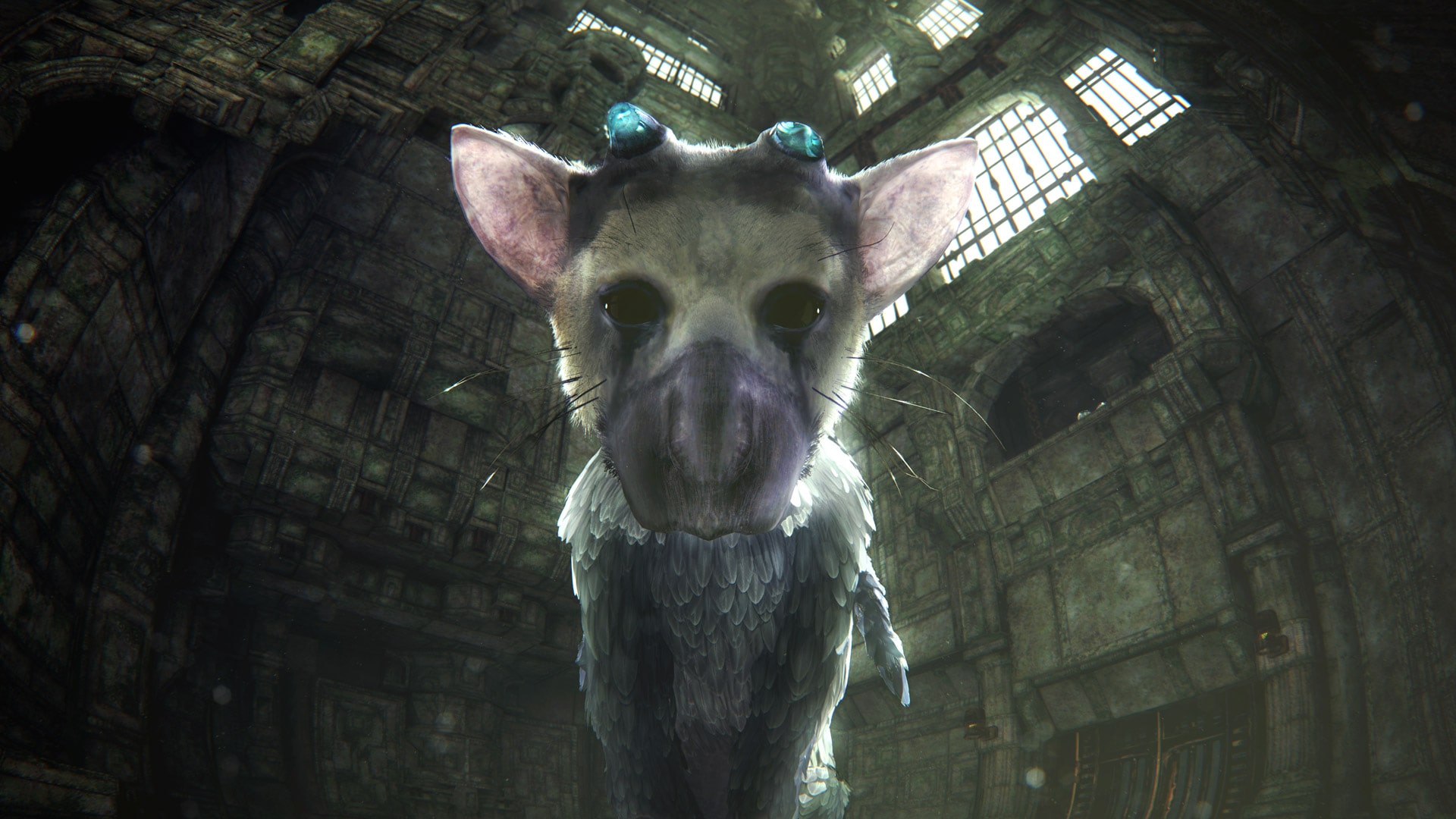 The Last Guardian's VR demo is a perfect showcase for the medium - The Verge