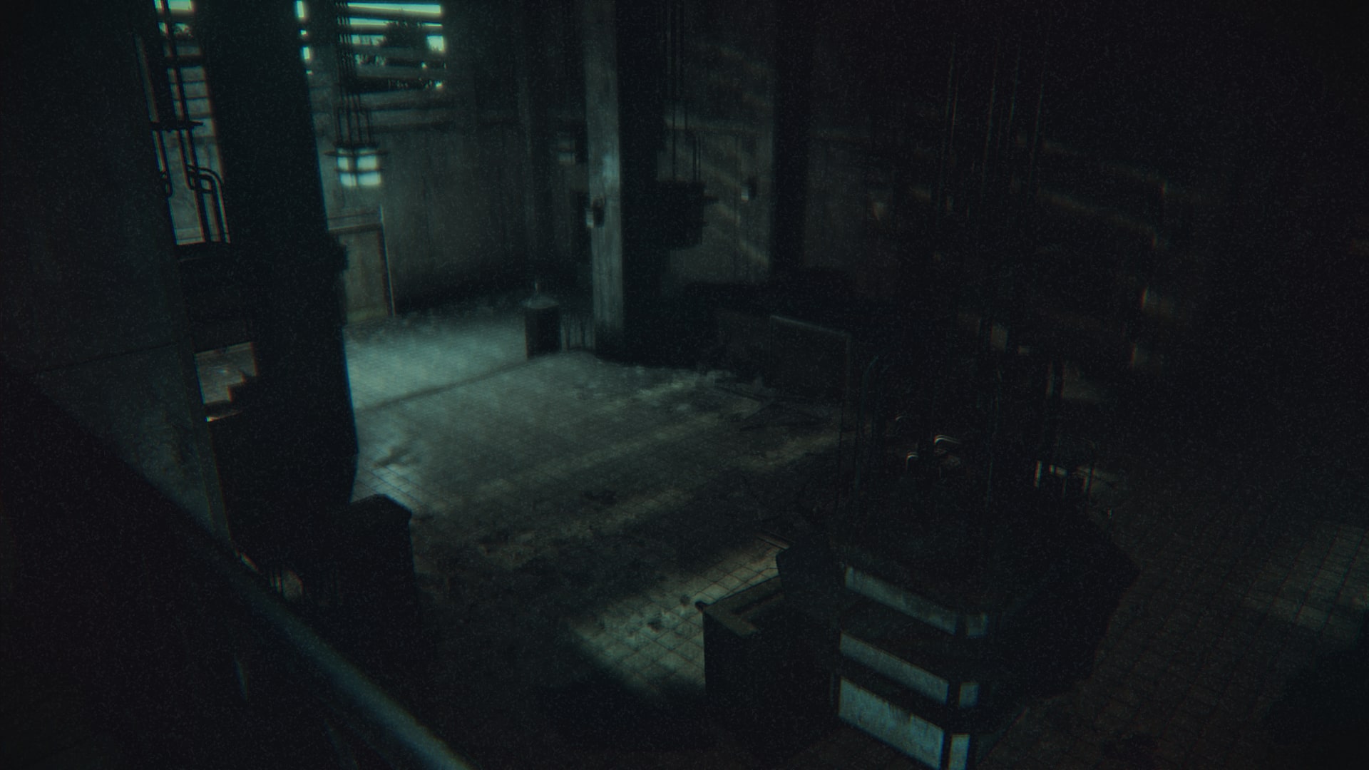 Daylight