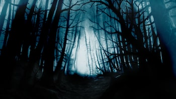 Slender: The Arrival