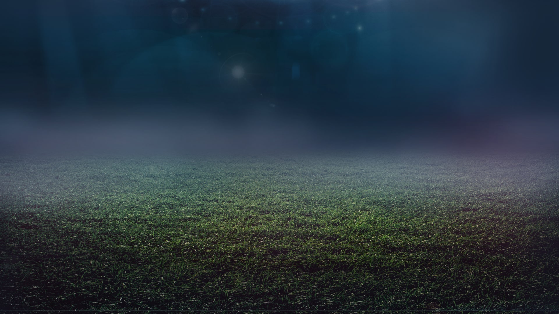 Rugby World Cup 2015