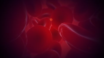 VEV: Viva Ex Vivo™ VR Edition‎ Basic Bundle