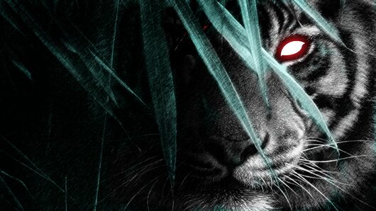 Life of Black Tiger for playstation Life of Black Tiger for playstation