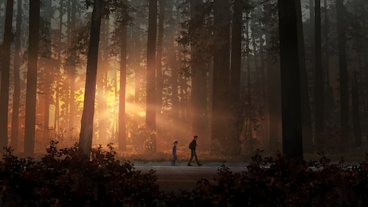 Life is Strange 2 - Episode 2 for playstation