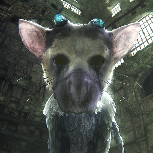 the last guardian ps4 vr