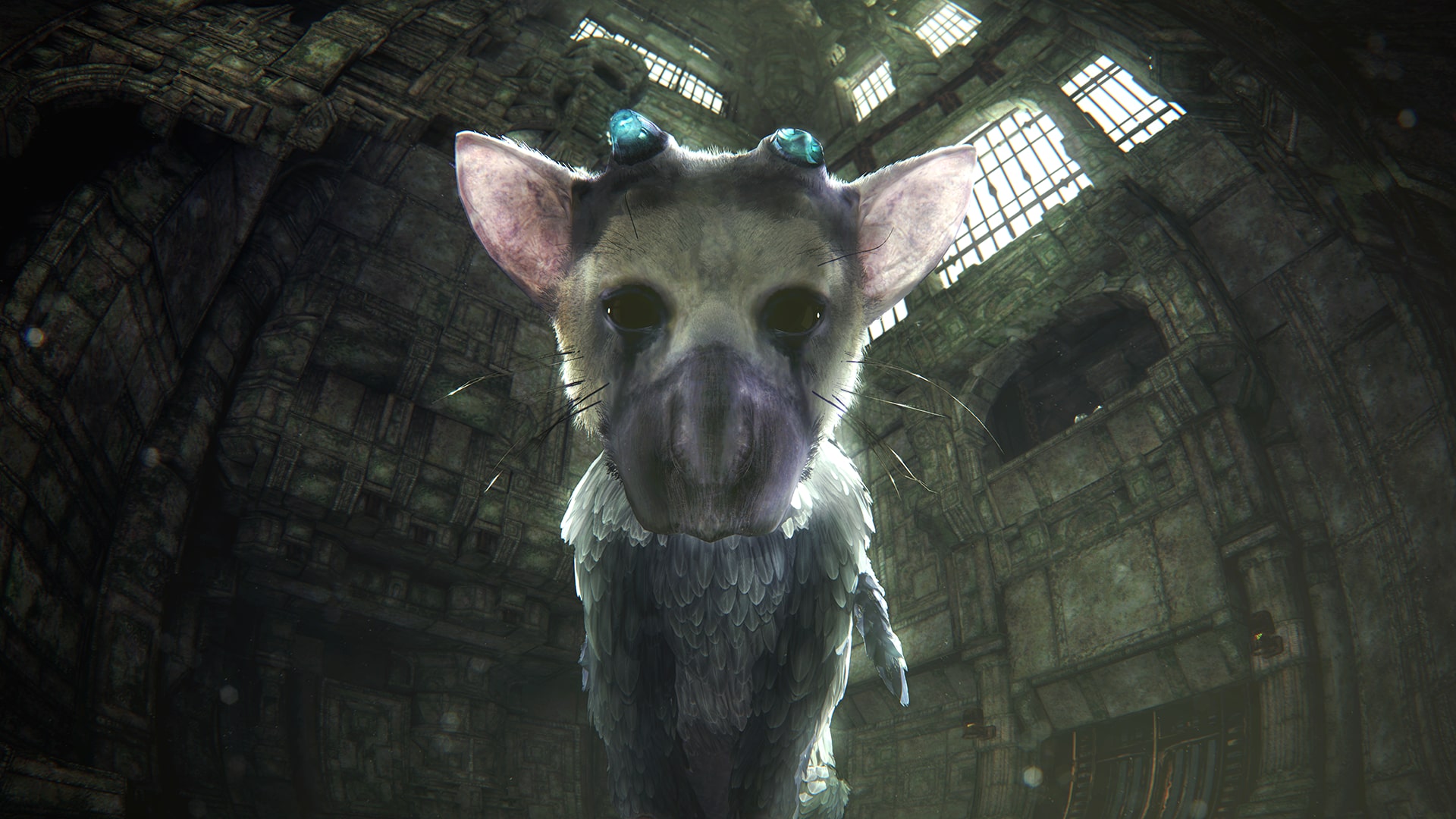 The Last Guardian creator: 'I can't face playing my own game', Games