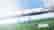 Rugby Challenge 4