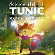 Tunic cover