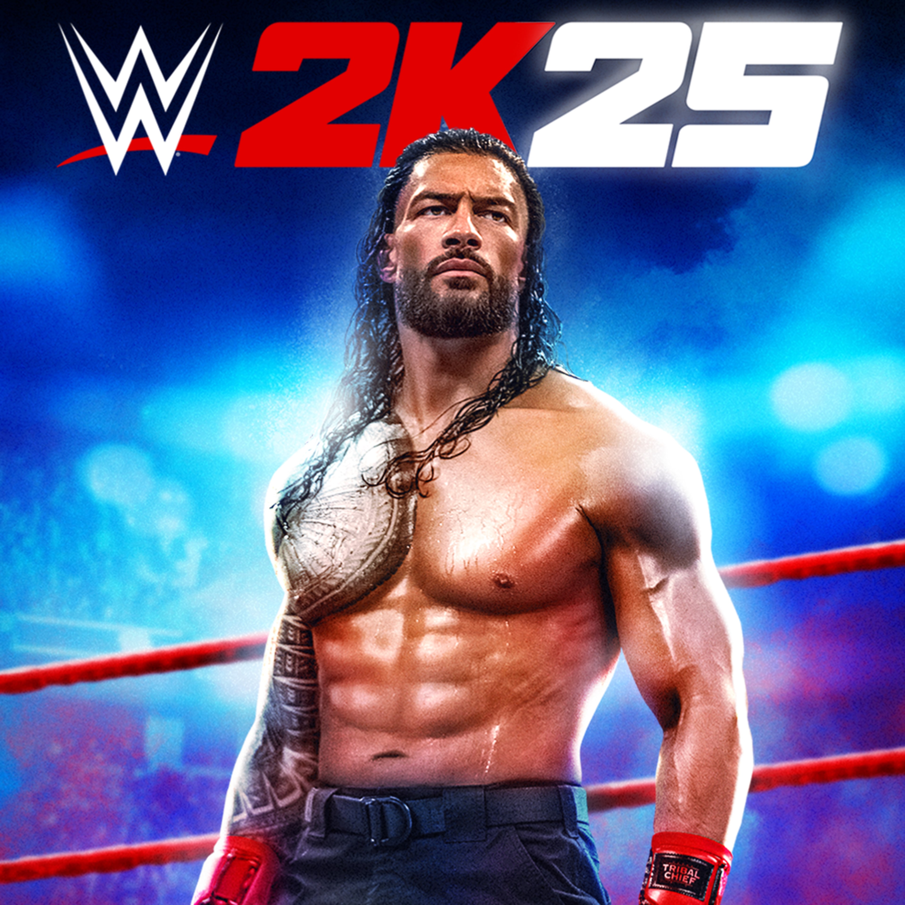 WWE 2K25 Standard Edition
