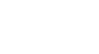 F1 2010™