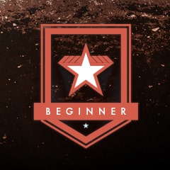 Icon for Turbocharged Beginner