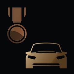 Icon for Street Smart