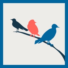 Icon for Three Birds, One Stone