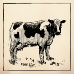 Icon for The Cow Came Home