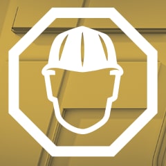 Icon for Work Ethic