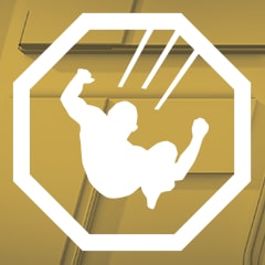 Icon for Throw It On The Ground