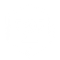 Icon for Overwatch Platinum Trophy