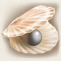 Icon for The Black Pearl