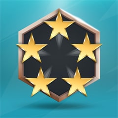 Icon for 5 star performance