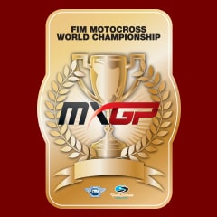 Icon for World Championship