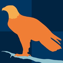 Icon for Fly Like an Eagle