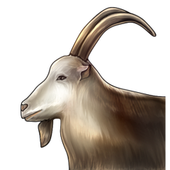 Icon for Hidden Goat