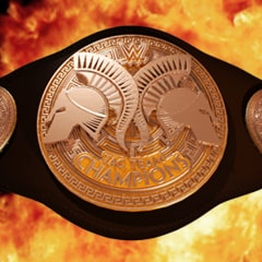 Icon for Birth of a Tag Champion