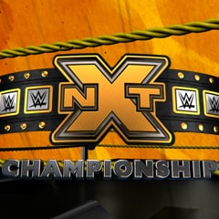 Icon for Birth of an NXT Champion
