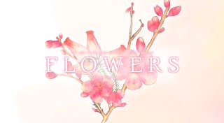 FLOWERS夏篇