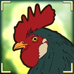 Icon for Only Rooster in the Yard