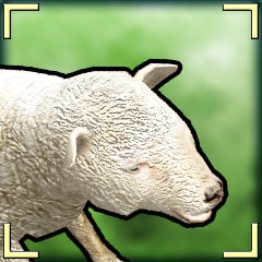 Icon for Baa!