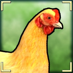 Icon for Cluck!