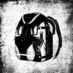 Icon for In the Bag