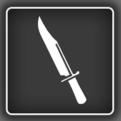 Icon for My first weapon