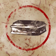 Icon for 250 Closed Caskets