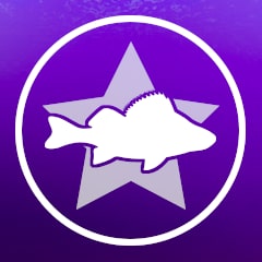 Icon for Perch Boss
