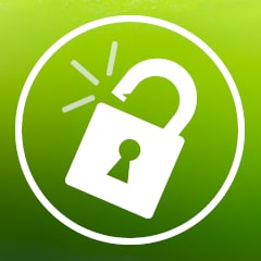 Icon for Unlocking The Code