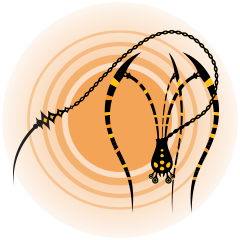 Icon for Wash the Spider Down