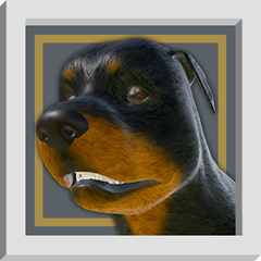 Icon for Not a Dog Person - 1