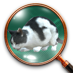 Icon for 野良猫サーチ