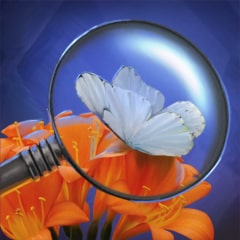 Icon for Butterfly admirer