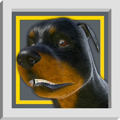 Icon for Not a Dog Person - 3